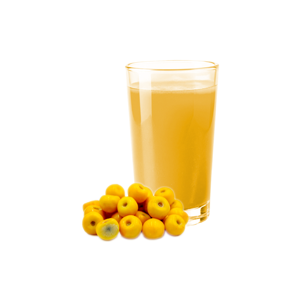 !REFAZER JUGO DE MURICI 300ml