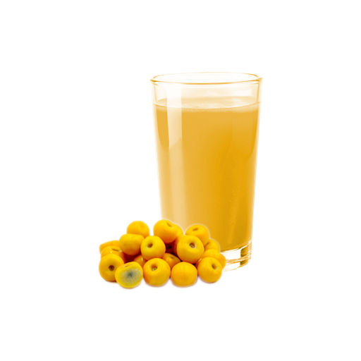 [P0035] !REFAZER JUGO DE MURICI 300ml